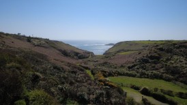 St. Davids, Haverfordwest, SA62