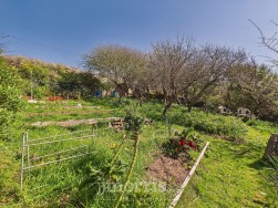 St. Davids, Haverfordwest, SA62