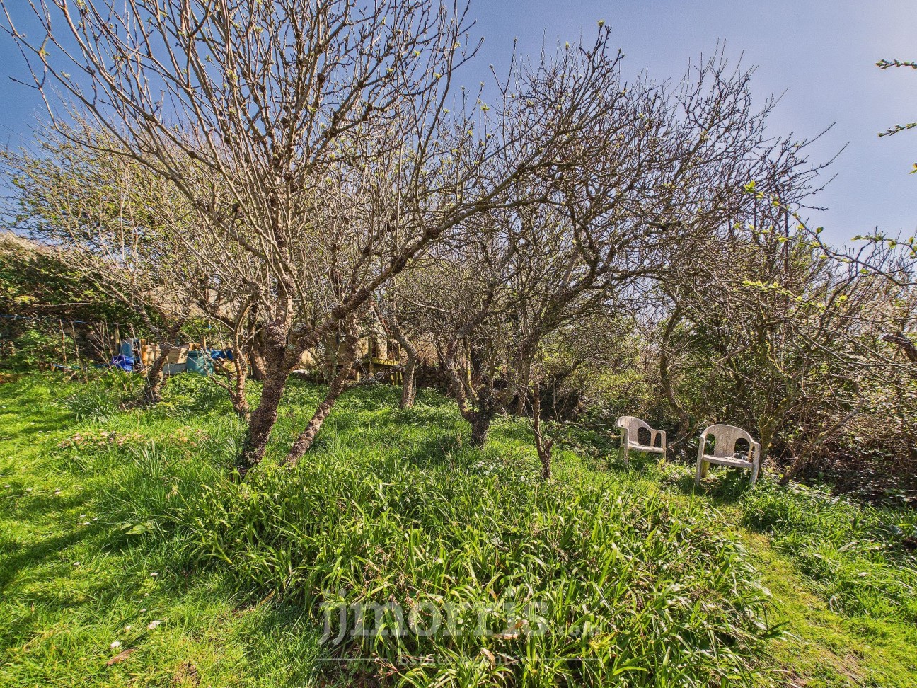 St. Davids, Haverfordwest, SA62