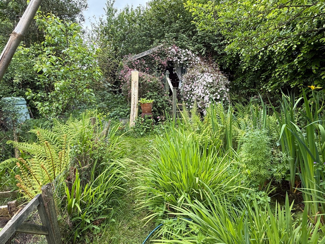 West Street, Newport, SA42