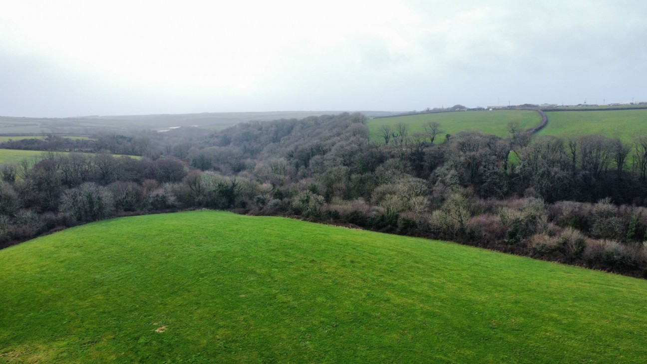 Rickeston, Milford Haven, SA73