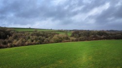 Rickeston, Milford Haven, SA73