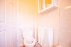 Albert Street, Haverfordwest, SA61