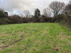 Long Street, Newport, SA42