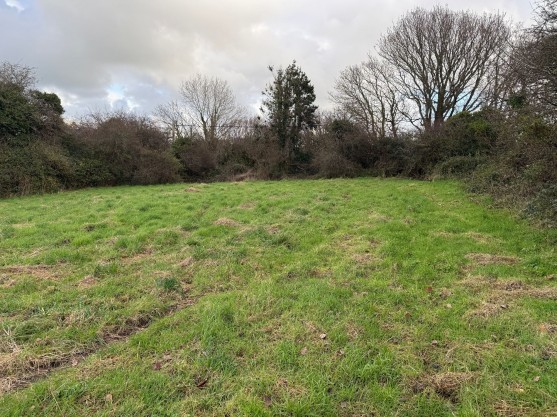 Long Street, Newport, SA42