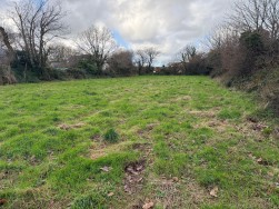 Long Street, Newport, SA42