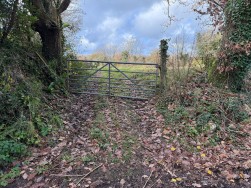 Long Street, Newport, SA42