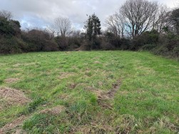 Long Street, Newport, SA42