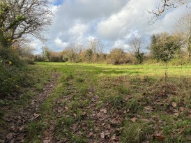 Long Street, Newport, SA42