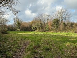 Long Street, Newport, SA42