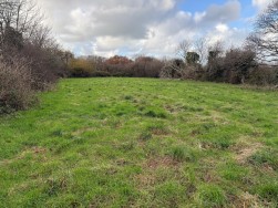 Long Street, Newport, SA42