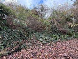 Long Street, Newport, SA42