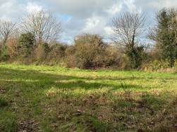 Long Street, Newport, SA42