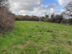 Long Street, Newport, SA42