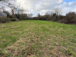 Long Street, Newport, SA42