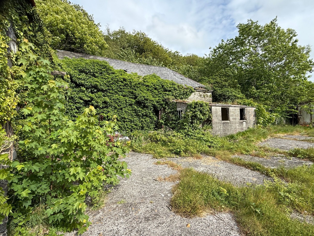 At The Lower Yard, Llwyngwair Home Farm, SA42