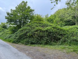 At The Lower Yard, Llwyngwair Home Farm, SA42