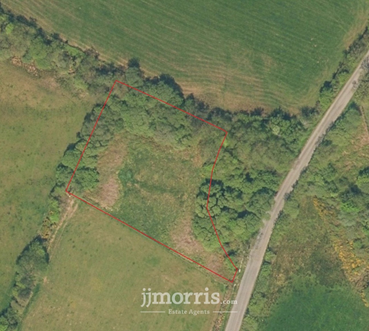 Fynnon, Crymych, SA41