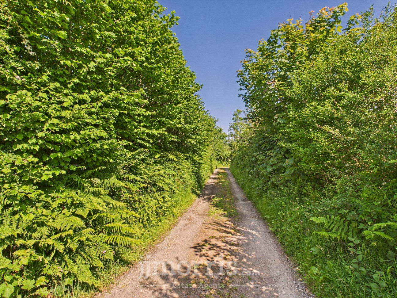 Llanycefn, Clynderwen, SA66