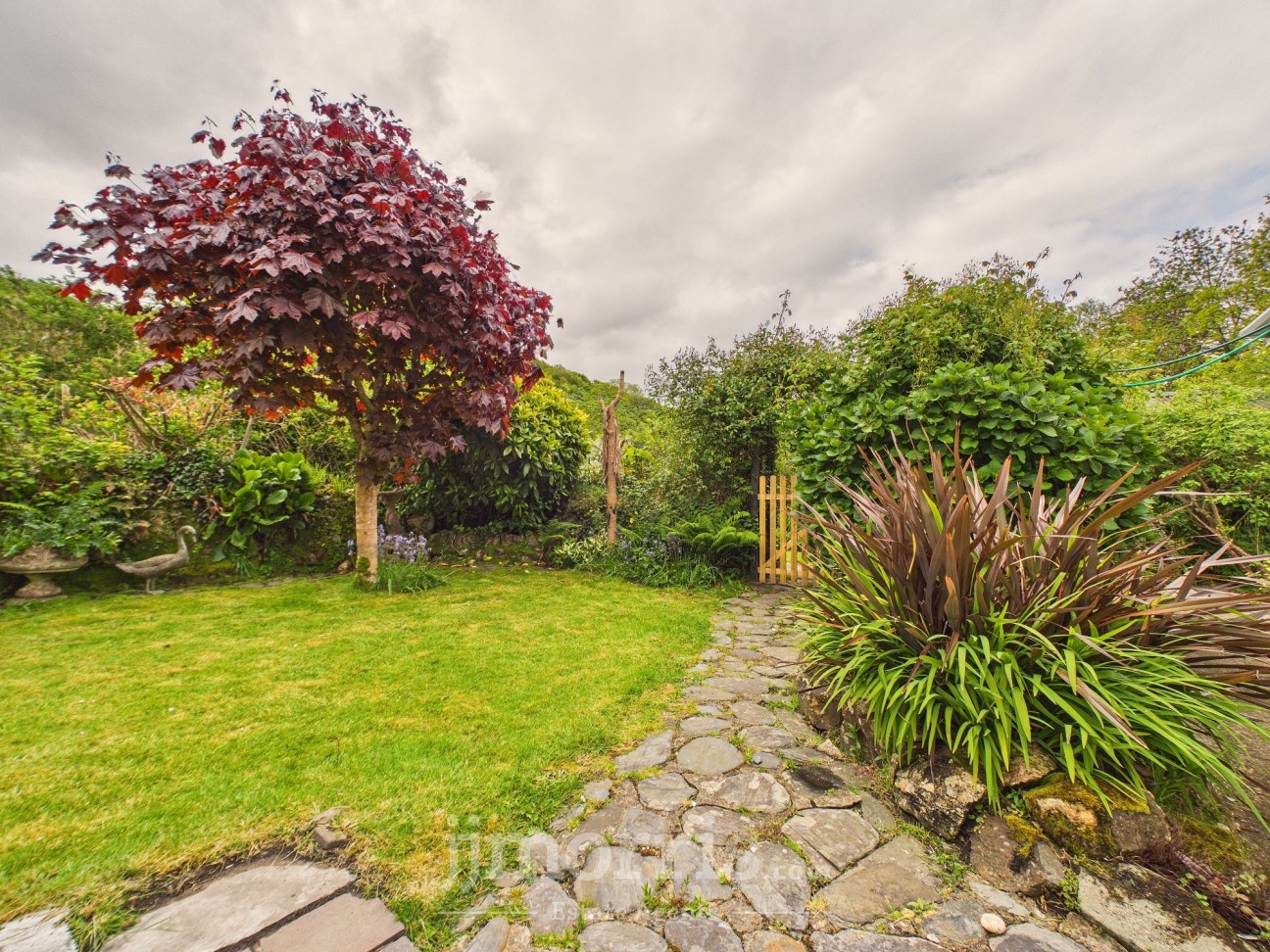 Dinas Cross, Newport, SA42