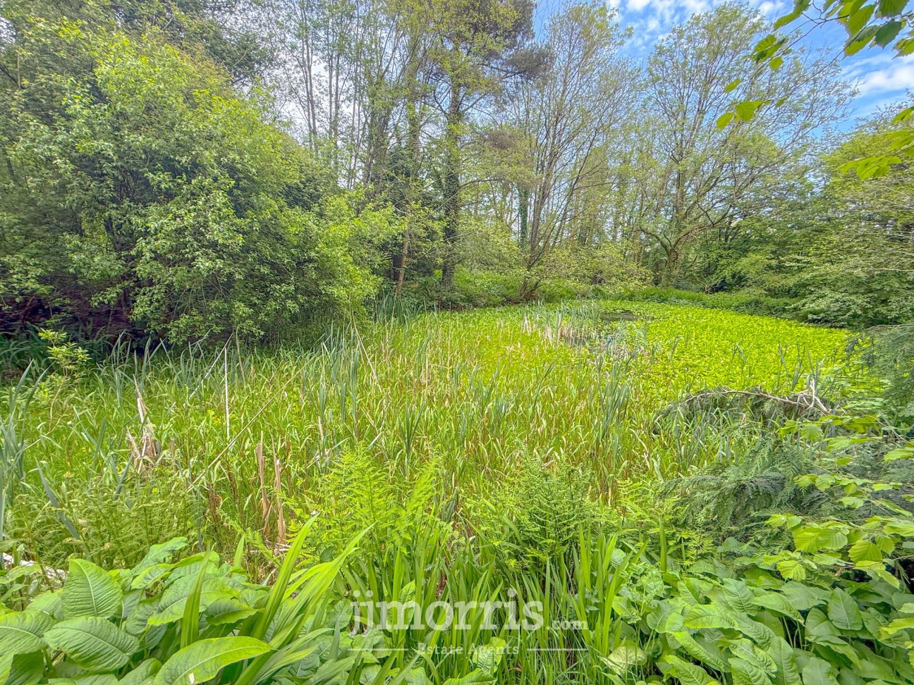 Bwlchllan, Lampeter, SA48