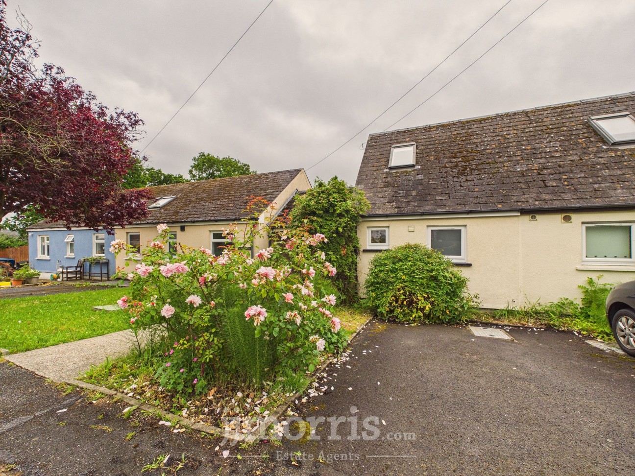 Glannant, Llechryd, SA43
