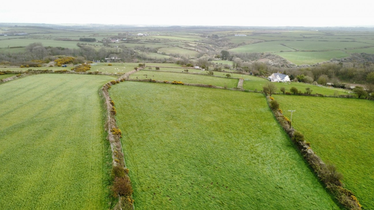 Whitchurch, Solva, SA62