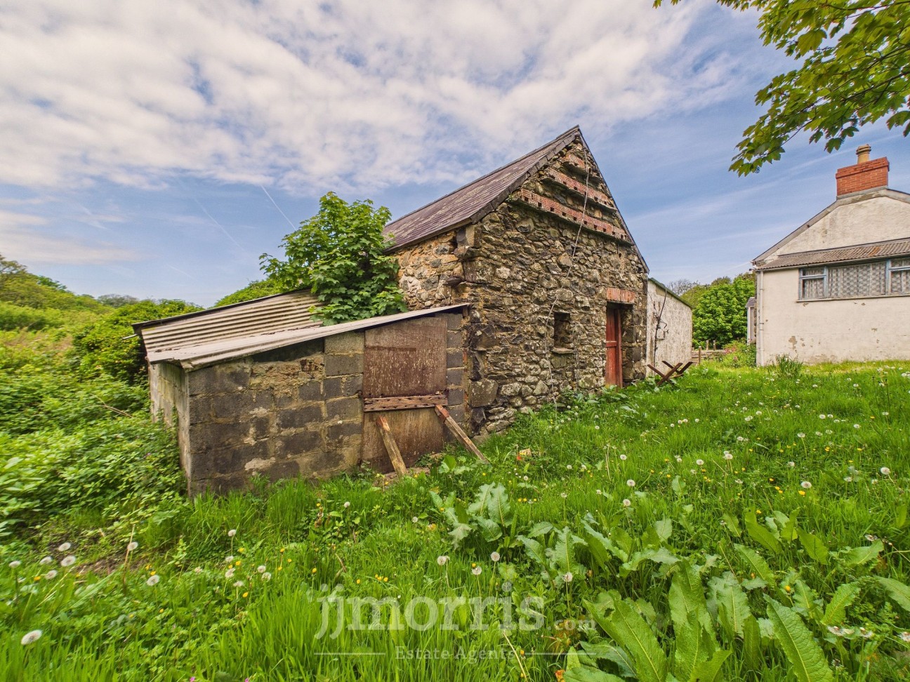 Dinas Cross, Newport, SA42