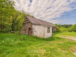 Dinas Cross, Newport, SA42