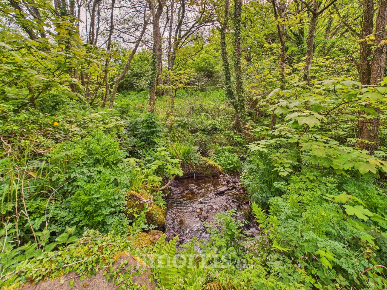Dinas Cross, Newport, SA42