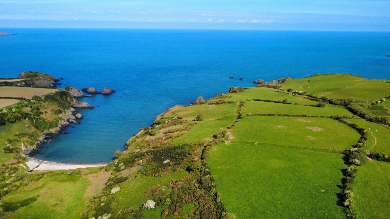 Dinas Cross, Newport, SA42