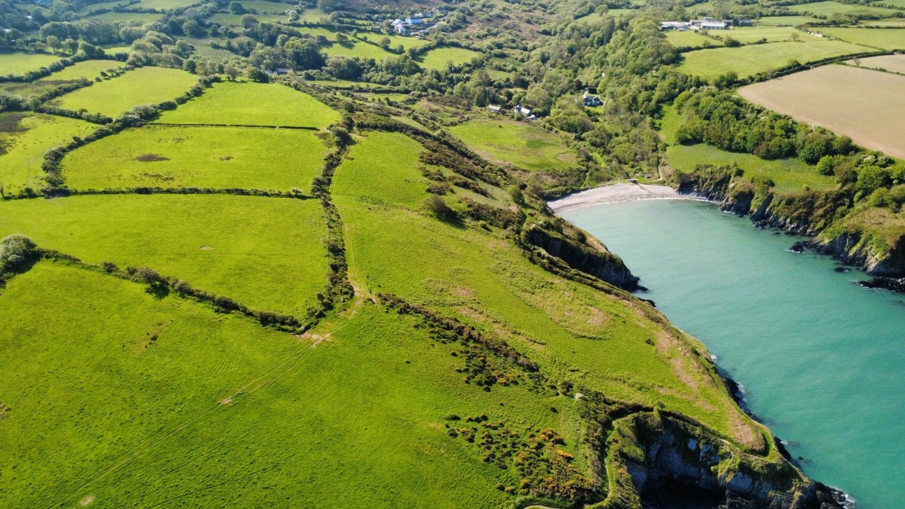 Dinas Cross, Newport, SA42