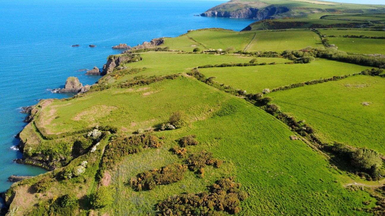 Dinas Cross, Newport, SA42