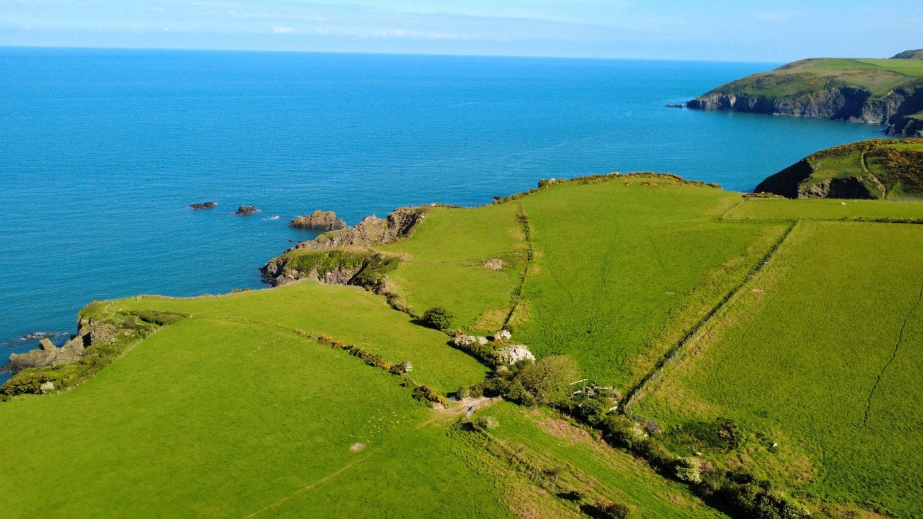 Dinas Cross, Newport, SA42