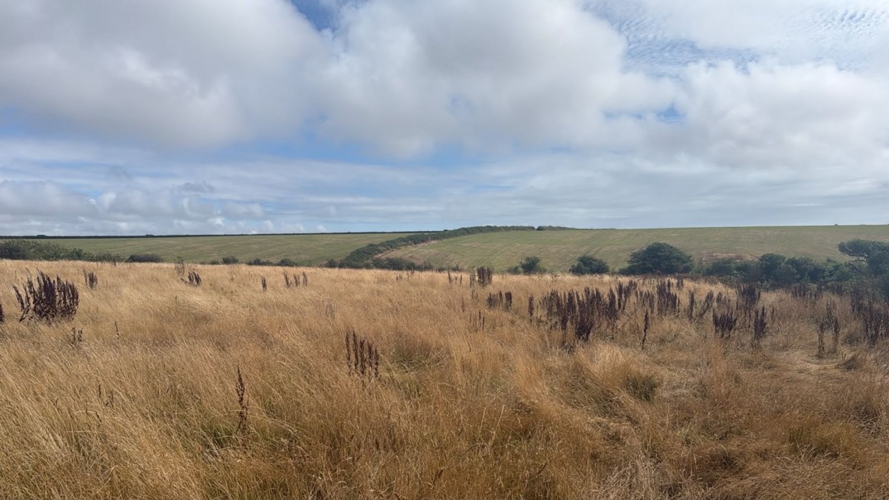Cross Road, Near Talbenny, SA62