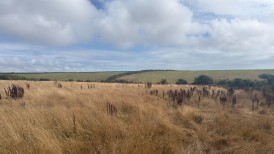 Cross Road, Near Talbenny, SA62