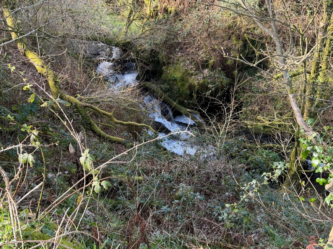 Welsh Hook, Wolfscastle, SA62