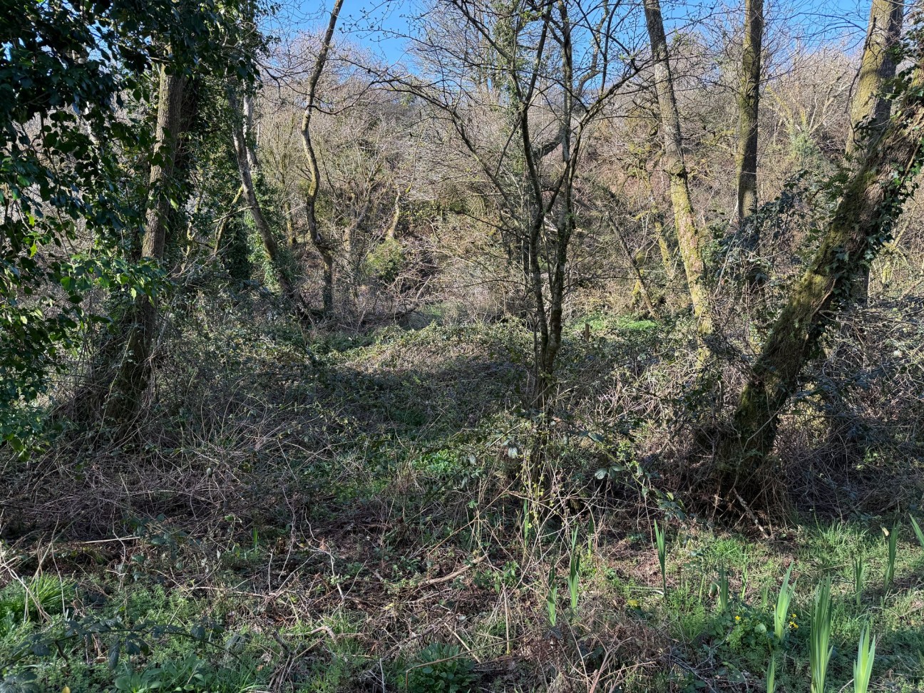 Welsh Hook, Wolfscastle, SA62