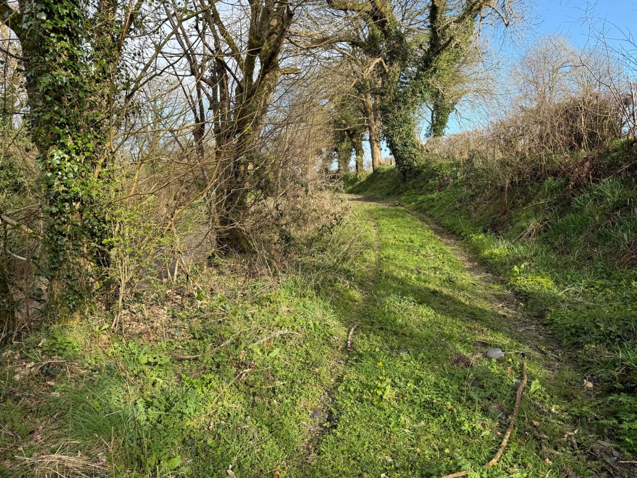 Welsh Hook, Wolfscastle, SA62