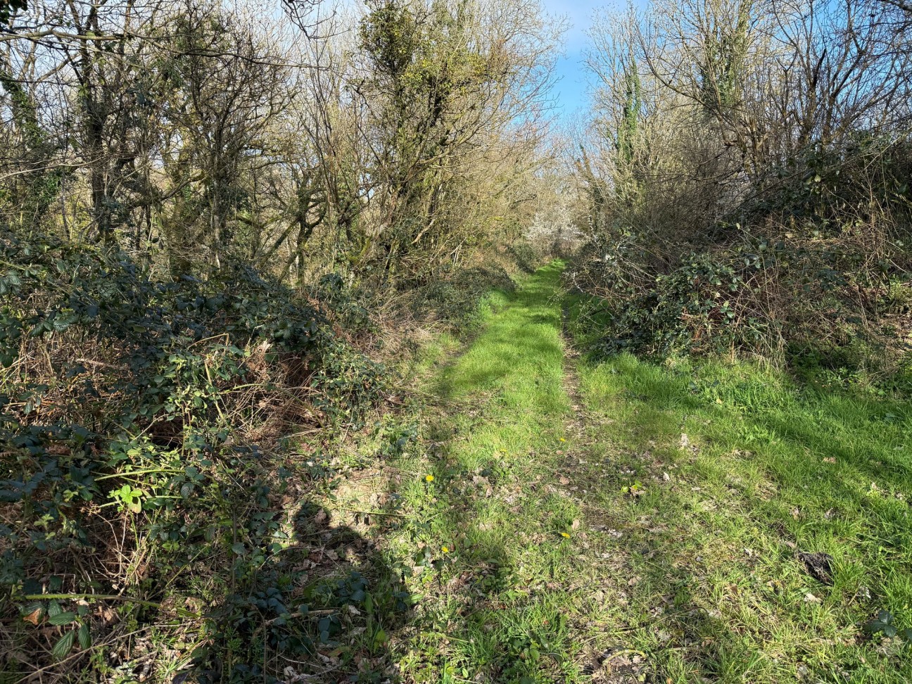 Welsh Hook, Wolfscastle, SA62