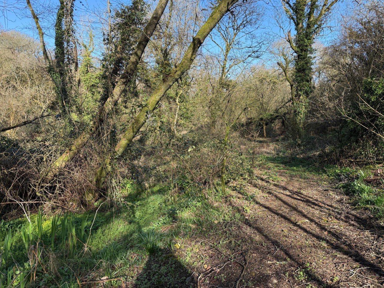 Welsh Hook, Wolfscastle, SA62