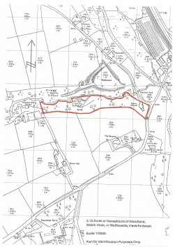 Welsh Hook, Wolfscastle, SA62