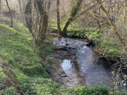 Welsh Hook, Wolfscastle, SA62