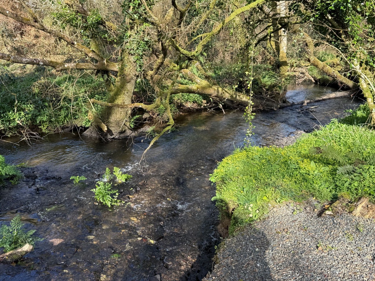 Welsh Hook, Wolfscastle, SA62