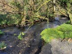 Welsh Hook, Wolfscastle, SA62