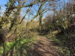 Welsh Hook, Wolfscastle, SA62