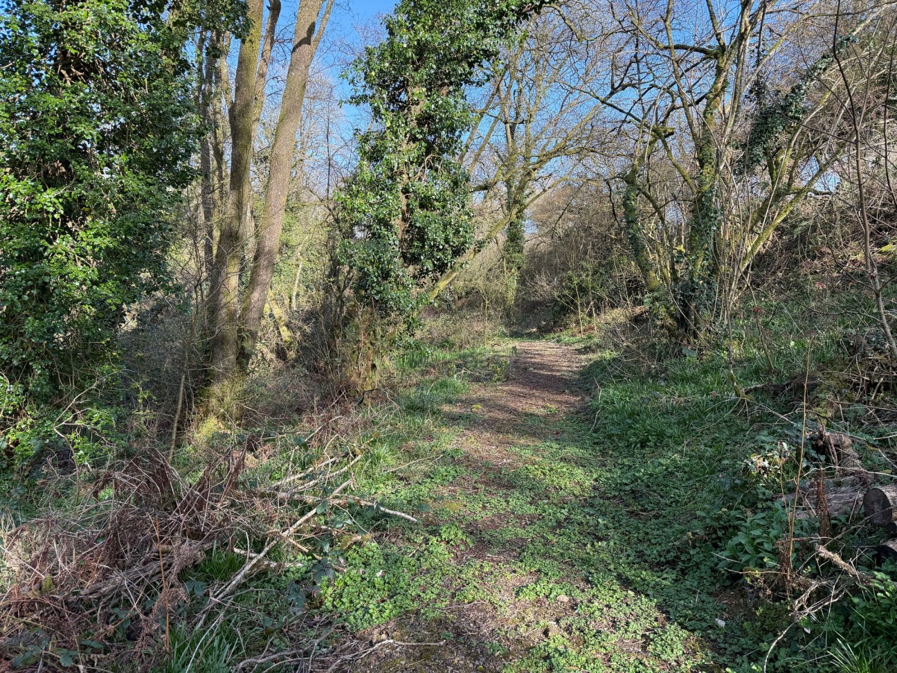 Welsh Hook, Wolfscastle, SA62