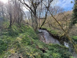 Welsh Hook, Wolfscastle, SA62