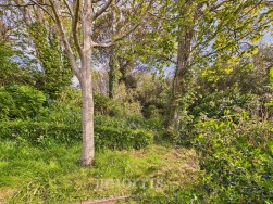 Burton, Milford Haven, SA73