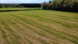 Land At Glandy Cross, Nr. Efailwen, SA66